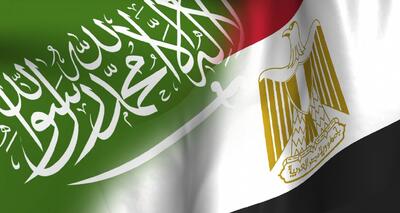  اختلاف مصر و عربستان؛ قاهره برای ترمیم روابط با ریاض عجله‌ ندارد