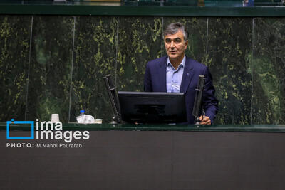  فرزین: کفایت سرمایه نظام بانکی در پایان برنامه به ۸ درصد می رسد