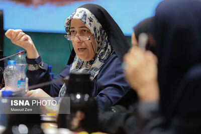  عضو شورای شهر: مجمع شهرهای تاریخی کشور، فرصتی برای معرفی گنجینه‌های یزد است