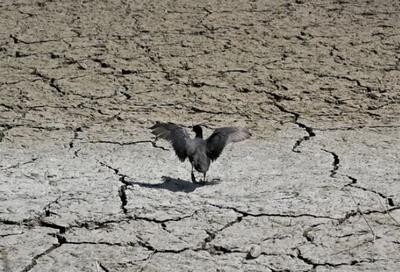  ۱۴۰۴ کم بارش‌ترین سال نیم قرن گذشته/ اسامی استان‌هایی که بیشترین و کمترین خشکسالی را تجربه کرده‌اند