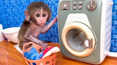  انیمیشن جدید میمون کوچولو | ماجراجویی‌ها و چالش بستنی