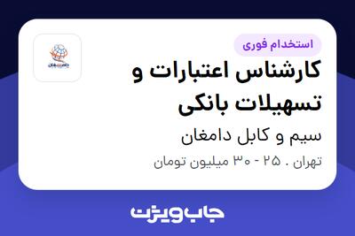  استخدام کارشناس اعتبارات و تسهیلات بانکی در سیم و کابل دامغان