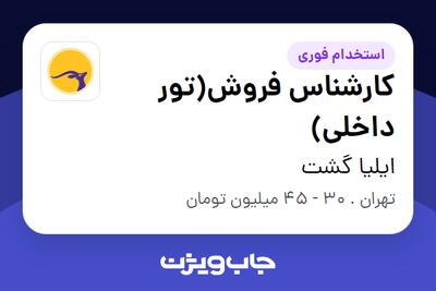  استخدام کارشناس فروش(تور داخلی) در ایلیا گشت