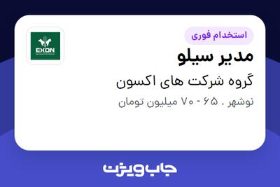  استخدام مدیر سیلو - آقا در گروه شرکت های اکسون