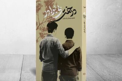  روایت نوجوانان فداکار دهه۶۰ در «درخت بی‌برادر»