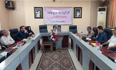  میرزایی: مدیران گراش تسهیل‌گر سرمایه‌گذاری باشند