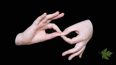  میگنا - ابعاد اجتماعی حس شنوایی، کم‌شنوایی و ناشنوایی