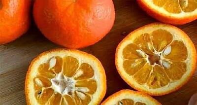  خواص، مضرات و طبع نارنج و بهار نارنج