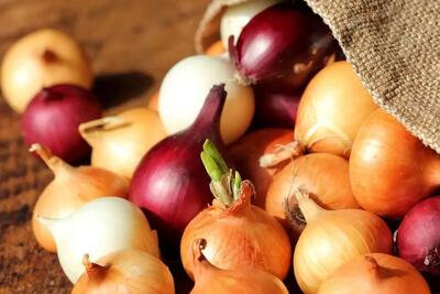  مقایسه خواص پیاز قرمز و سفید؛ کدام انتخاب سالم‌تری است؟