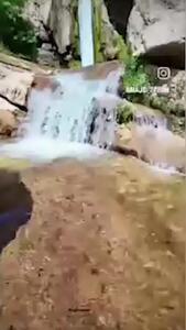  آبشار هفت‌ چشمه؛ سفری به دنیای رویایی بلوط‌ ها + فیلم