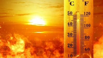  خون‌آشام‌های انرژی: 5 وسیله برقی که قبض برق شما را خیلی بالا می‌برند