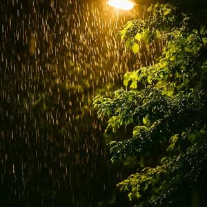  قطرات آرامش از سبزی روز تا نغمه شب