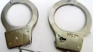  دلتنگی مادرانه، عامل ربودن دختر ۴ ساله شد