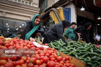  گوجه‌فرنگی زیر قیمت باران؛ شوک گرانی به سفره خانه‌ها!
