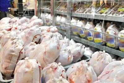  مرغ امروز ۲۰ آبان ۱۴۰۴: شوک قیمتی در بازار!
