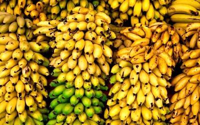  فاجعه در گمرک؛ هزار تُن موز و سیب در آستانه نابودی!