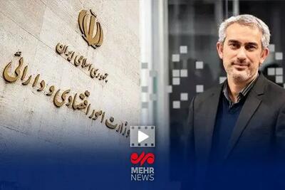  وزیر اقتصاد: دولت مجری طرح‌های جنجالی است؟