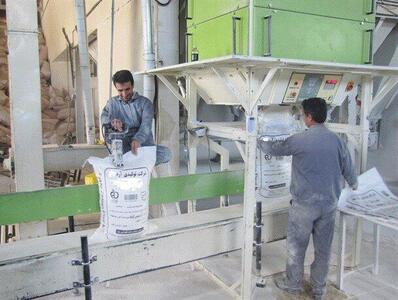  سالانه ۲۴۰ هزار تن آرد در گلستان تولید می‌شود