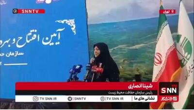  شینا انصاری: سازمان حفاظت محیط زیست در استفاده از انرژی خورشیدی می‌تواند به عنوان الگو مطرح شود