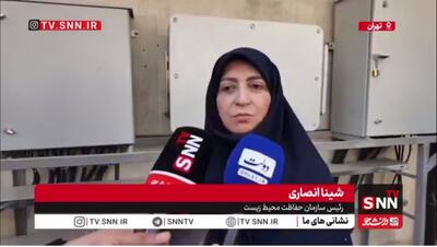  شینا انصاری: توسعه نیروگاه‌های خورشیدی راهکاری مؤثر برای مقابله با کمبود برق است
