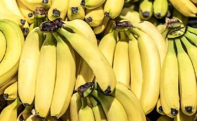  تکذیب توقف واردات موز