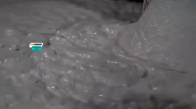  تصاویر وحشتناک از یک کارخانه سوسیس و کالباس