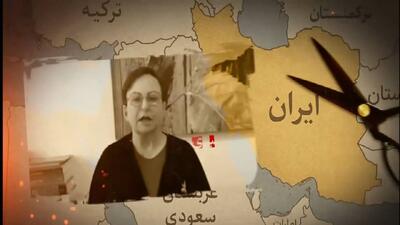  چرا سازمان اطلاعات سپاه اعضای موسسه ایران آکادمیا را بازداشت کرده است؟ + فیلم
