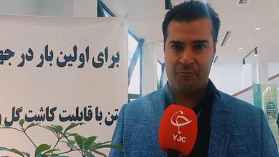  اختراع بتن سبز با قابلیت کاشت گیاه؛ انقلابی در سازه‌های زنده شهری+ فیلم