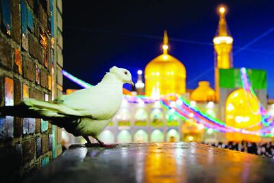  دل ما تنگ مشرق طلایی ایران است