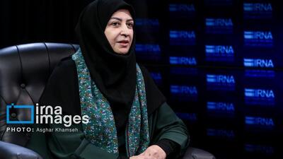  انصاری: از هیچ تلاشی برای پررنگ شدن مساله محیط‌زیست در دولت دریغ نخواهیم کرد