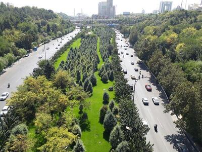  چرا در فضای سبز تهران از درختان میوه استفاده نمی‌شود؟