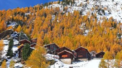  شکوه رنگ‌های پاییزی در سراسر جهان