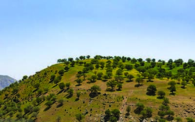  زاگرس در تب خشکسالی