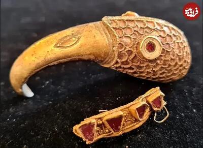  کلاغ طلایی بعد از 1400 سال از زیر خاک بیرون آمد