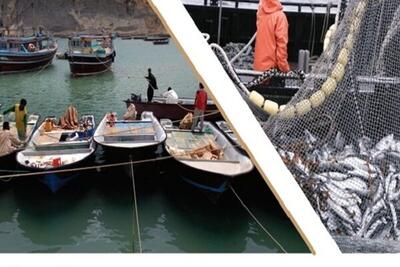  چابهار در مسیر تبدیل به قطب شیلات مدرن و مکانیزه در کشور