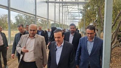  چهارشنبه های صنعتی استاندار قزوین در واحدهای کشاورزی 