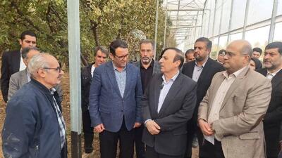  نوذری: افزایش بهره وری در کشاورزی مورد توجه قرار گیرد