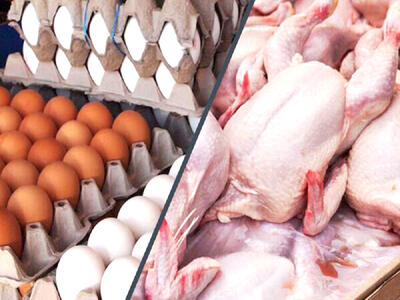  ماراتن افزایش قیمت بین مرغ، تخم مرغ و شیر