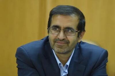  جوادی یگانه: نظرسنجی درباره مقبولیت شخصیت‌های سیاسی انجام نداده‌ایم
