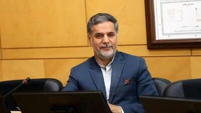  نقوی حسینی: برخی نمایندگان برای سلبریتی شدن همه نوع نظری می‌دهند