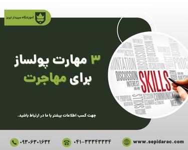  3 مهارت پولساز برای مهاجرت |  انصاف نیوز