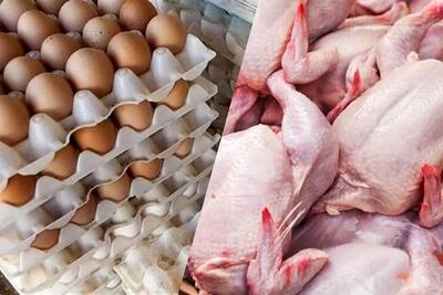  ماراتن افزایش قیمت مرغ و تخم‌مرغ؛ خبری از مرغ ۱۳۵ هزار تومانی نیست