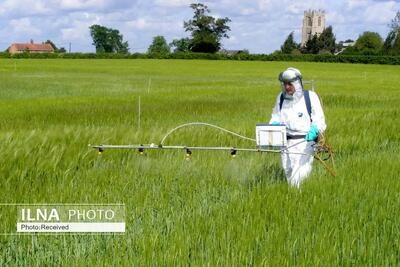  تخصیص اعتبارات ویژه برای کنترل عوامل خسارت‌زا در فارس