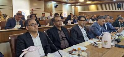  با حمایت از صنایع فرآوری، خرما می‌تواند پیشران صادرات غیرنفتی کشور شود