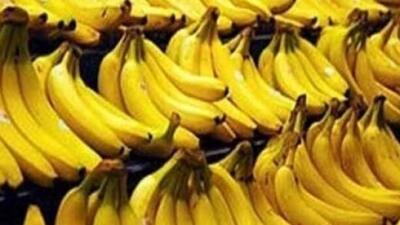  موزهای وارداتی از کدام کشورها هستند؟
