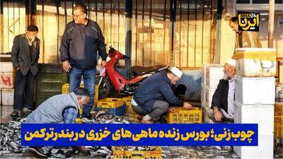  فیلم| چوب‌زنی؛ بورس زنده ماهی‌های خزری در بندرترکمن