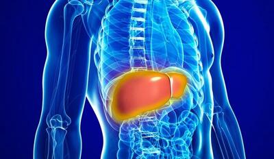  فوق تخصص گوارش: کبد چرب را درمان کنید