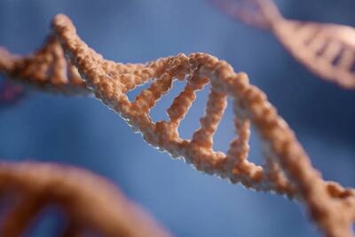  توالی‌یابی ژنوم تمام گونه‌های زنده روی زمین با هوش مصنوعی