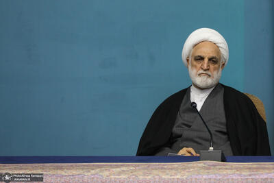  محسنی اژه ای: مقامات قضایی از دستگاه‌های اطلاعاتی و انتظامی بخواهند نسبت به شناسایی جریاناتِ سازمان‌یافته و مرتبط با بیگانه از قبیل بی حجابی و برهنگی که مبادرت به ارتکاب و توسعه ناهنجاری‌های اجتماعی می‌کنند، اهتمام مضاعف داشته باشند