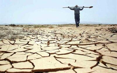  کاهش بارندگی‌ها تهدید کشت دیم
